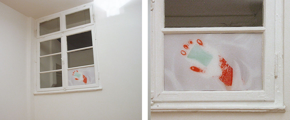 Window Cleaner